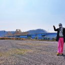 남지정기시장 이미지