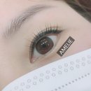 래쉬오늘