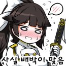 시티칸