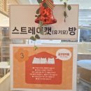 성동장애인무료급식소 | [성수 실내 데이트] 길고양이 마을 성수협력점, 고양이 카페 방문 후기