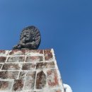 사과나무부동산중개 이미지