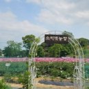 여주-0520 이미지