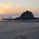 코리아플라워파크 이미지