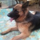 순이농장 이미지