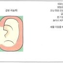 토형 이미지