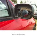 사람들과 자동차 이미지