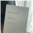 주니인셀덤