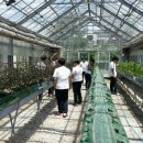 장성군농업기술센터 이미지