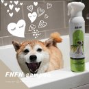 재미나개 이미지