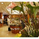 엘리제호텔 이미지