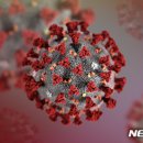 명륜초등학교 병설유치원 이미지