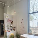 싱그린 | 파주 운정 그릭요거트 애견동반카페 쿠키답례품 ㅣ카페인그린 솔직후기