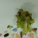 봉남어린이집 이미지