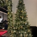 호텔 조선팰리스 강남 그랜드 마스터스 스위트 Grand masters suite 호캉스 후기 추천 (돔페리뇽 P2 후기)
