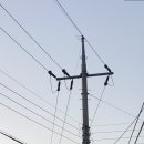 노라부러2 이미지