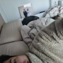 박건강