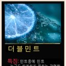 화성전자담배헬로남양점 네이버블로그