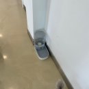멍크라운 | 부산 :: 대형운동장 애견유치원 애견호텔 멍캉스즐기기 초량, 멍크라운 프리미엄 애견유치원