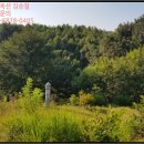 세도화수보건진료소 | 충남 부여군 토지(임야)경매, 부여군 세도면 수고리 산64-2 # 2018타경2550 #