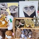 이웃집 | 이웃집 수달 방문 후기(feat. 수달 직접 만져보기, 아이랑 가기 좋은 실내 동물체험)