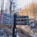 치악산둘레길 10코스 아흔아홉골길 이미지