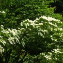 그림리조트 이미지