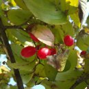 석우리천 공원 이미지