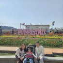 대송공원 | 3.20-3.28 주간일기 에버랜드 튤립축제, 갤럭시탭A11+, 여의도 한강공원