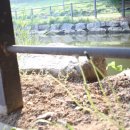 민들레 공인중개사사무소 이미지