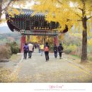 철암농장 | 주말일상, 가을을 온몸으로 느끼고 떡실신되다