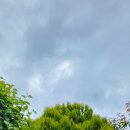 작약꽃펜션 이미지