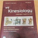 뉴만 kinesiology 이미지