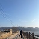 카우스톨 이미지