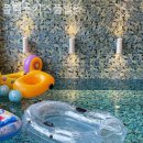 플렉스 풀빌라 이미지