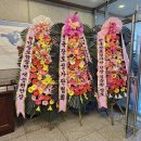 단상(斷想) 365. 전국장로합창대축제 참석 후기