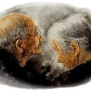 십자가축병원 이미지