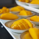 태국 푸켓 Similan Islands 리브어보드 솔직 후기 (가격·일정·장단점 총정리) 이미지