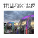 강아지천국 | 바다뷰가 끝내주는 강아지들의 천국 강화도 뷰나인 애견 펜션 이용 후기
