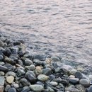 삼성중공업(주)거제조선소 M2식당 | 거제 2박3일 (윤돌섬 가는법, 물회, 조선소, 숙소 스테이새록 총망라)