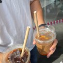 260627 테라로사 (코엑스) 후기