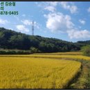 황방이보건진료소 네이버블로그