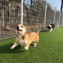 불리빌로우코리아센터 이미지