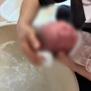 이모유통 | [육아] 청주 산후도우미 - 가온누리 / ㄱㅇㅅ 이모님 후기 (광고•페이백•상품 그런거 절대 아님/ 솔직...