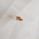 별하수 | 물을 잘 안 마시는 사람이 6개월 사용한 별하수 보리차 진액 솔직 후기