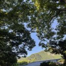 나리 야영장 옆 이미지