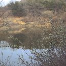 산골낚시터 이미지