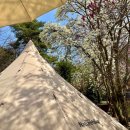 현대기아로 | [공지] 수도권 벚꽃 캠핑, 화성 산들래 캠핑장 벚꽃 명당 후기 : 예약 방법부터 명당 팁까지 총정리