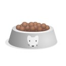 올바른 동물병원 이미지