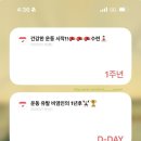 변교선 대전복싱클럽 | 대전 여자 킥복싱 ‘킥핏클럽’에서의 1년 후기(내돈내산)
