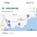 부산 여행 가는데 딤딤섬 vs 돼지국밥 이미지